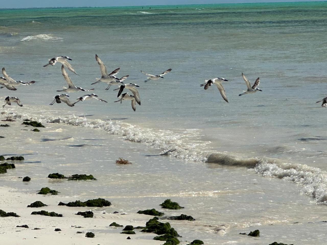 Villa Serenity, Tanzania Unforgettable Paje Eksteriør bilde